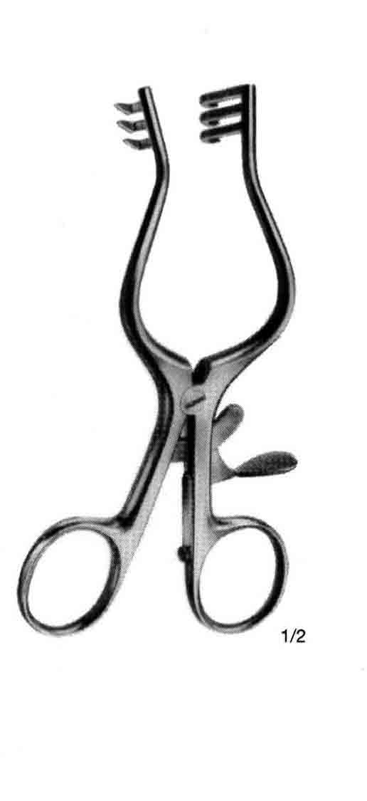 WULLSTEIN OTOMATİK EKARTÖR SİVRİ 13 CM